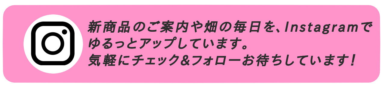 Instagramリンク画像